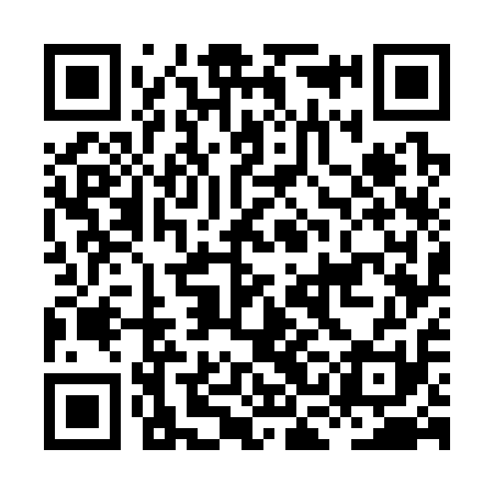 QR code for HCG311