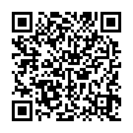 QR code for HCL333