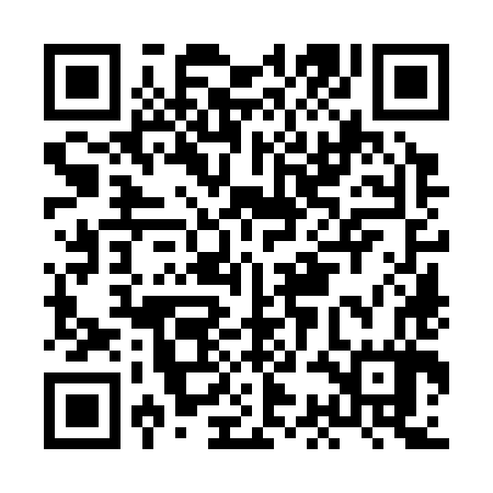 QR code for HCO387