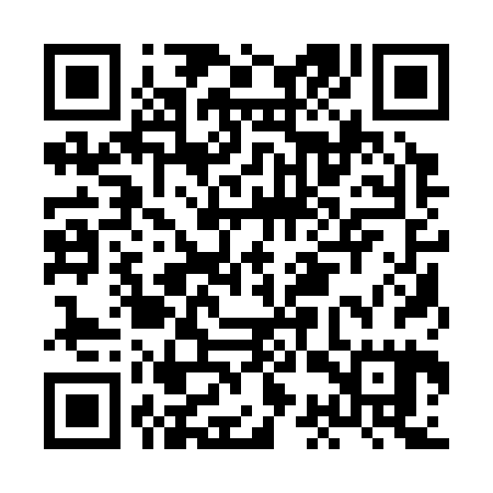 QR code for HCQ325