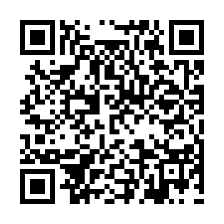 QR code for HFE313