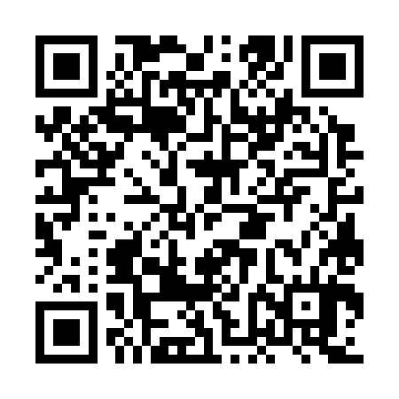QR code for HFG384