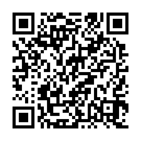QR code for HFJ313