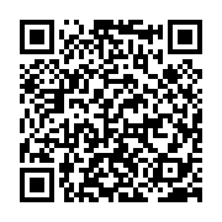 QR code for HGA038