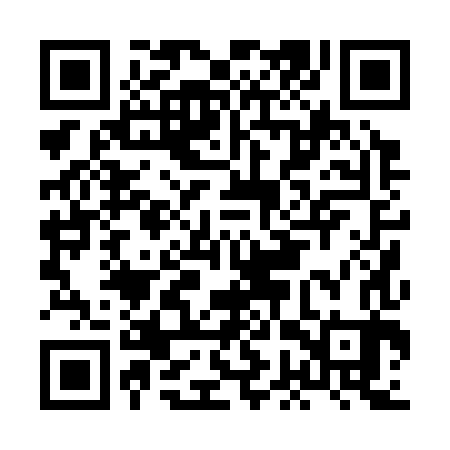 QR code for HGP383