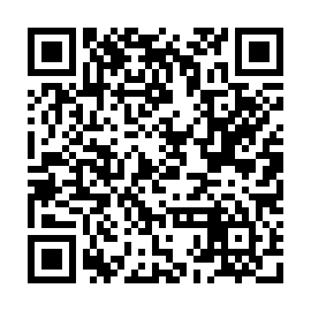 QR code for HHD385