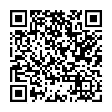 QR code for HHN313