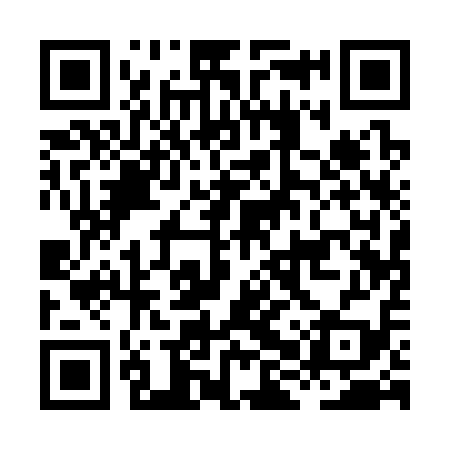 QR code for HHQ319