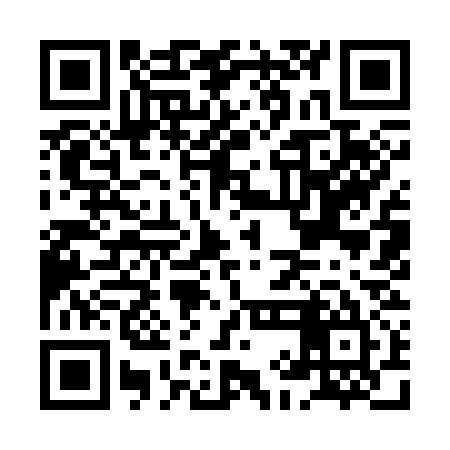 QR code for HII335