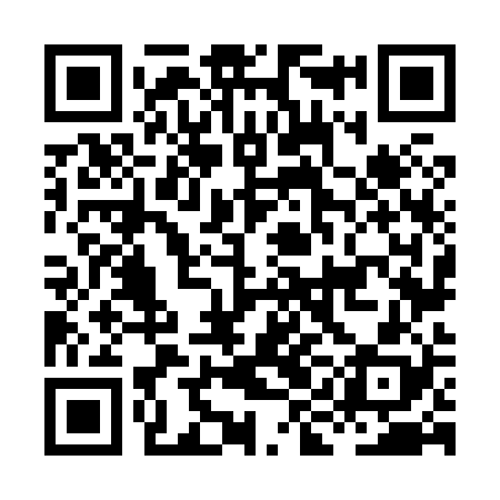 QR code for HIN828