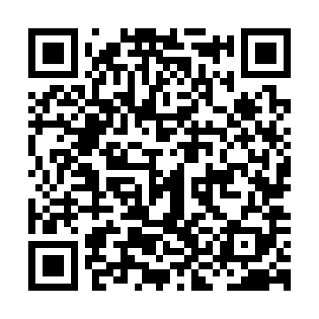 QR code for HKN389