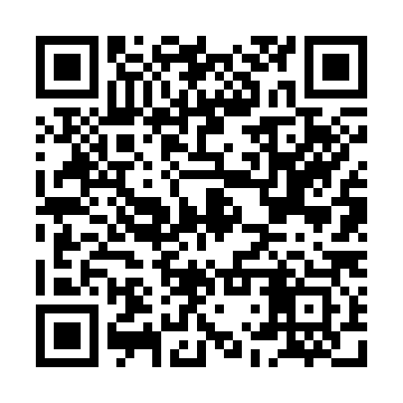 QR code for HLV383