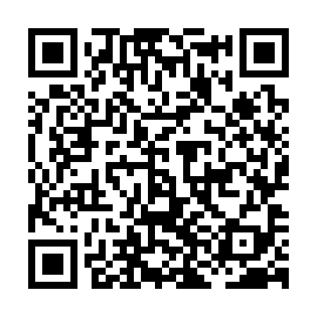 QR code for HNO399