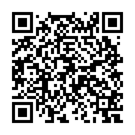 QR code for HNS300