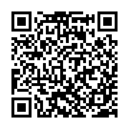 QR code for HNS387