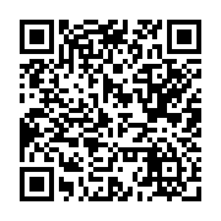 QR code for HNY335