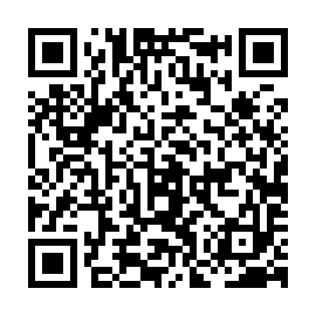 QR code for HOT993
