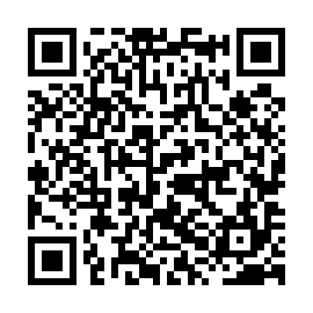 QR code for HPN594