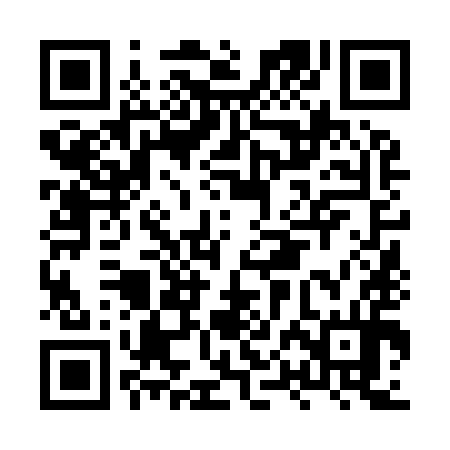 QR code for HPN994