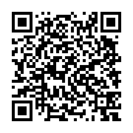 QR code for HQN438