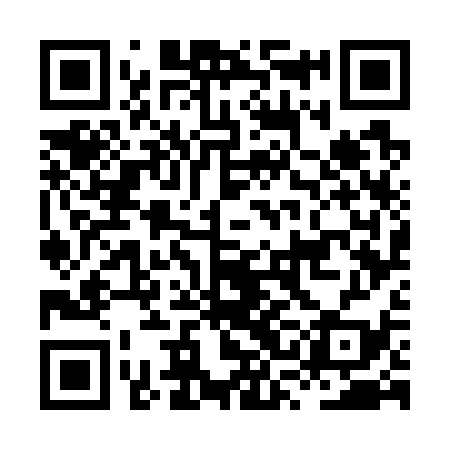 QR code for HSG739