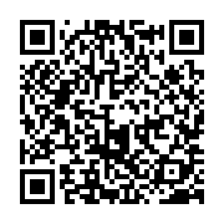 QR code for HSN389