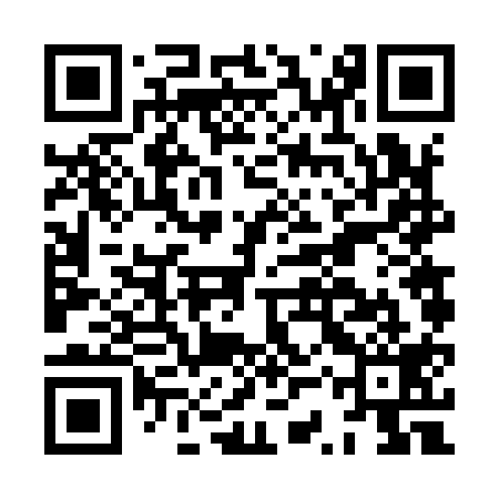 QR code for HSV919