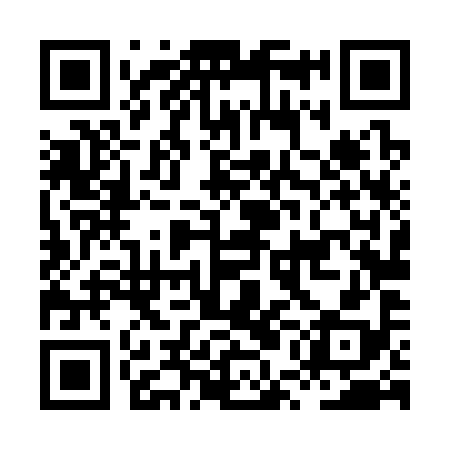 QR code for HUL398