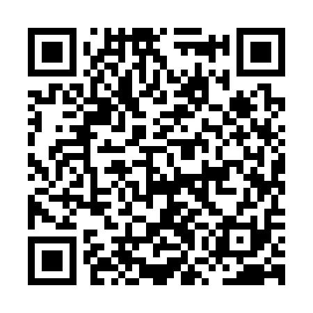 QR code for HWI311