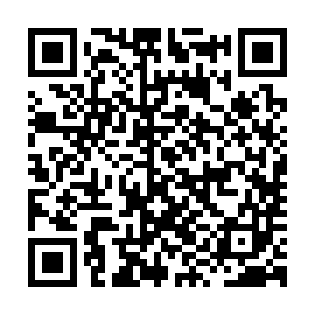 QR code for HYB383