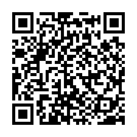QR code for HYJ739