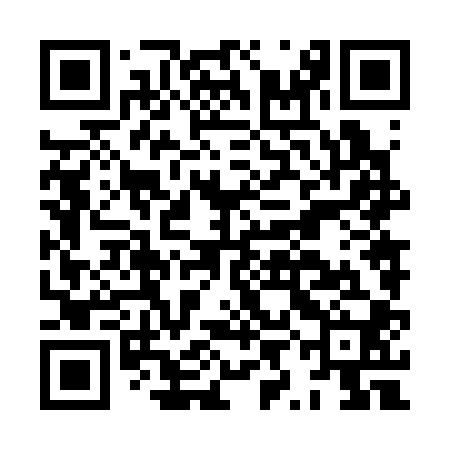 QR code for HYN300