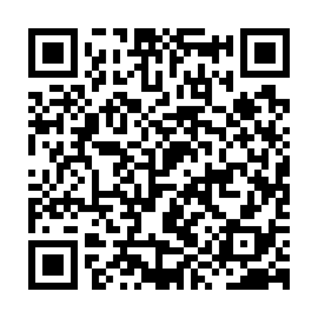 QR code for HYQ738