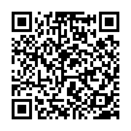 QR code for HYS738