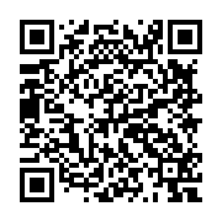 QR code for HYY813