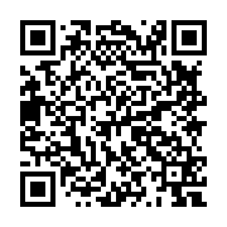 QR code for HYY861