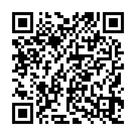 QR code for HYY933