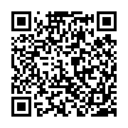 QR code for IAE617
