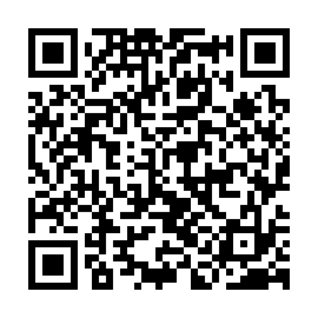 QR code for IAO333