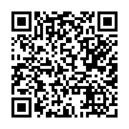 QR code for IAU397