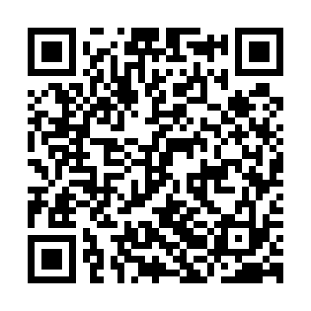 QR code for IBG533