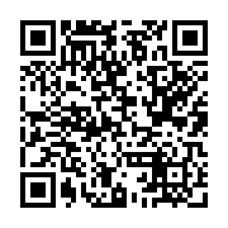 QR code for IBN308