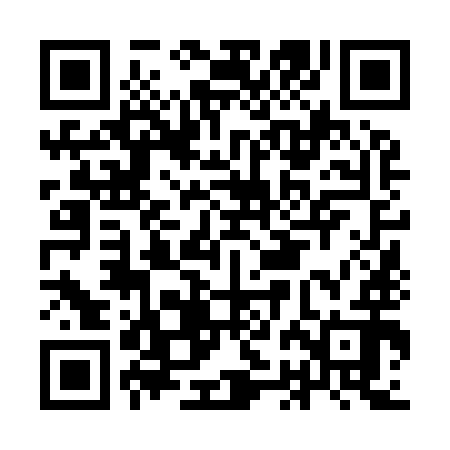 QR code for IBN992