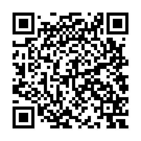 QR code for IBV125