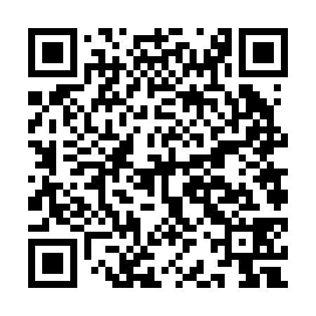 QR code for IBV238