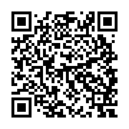 QR code for IBV382