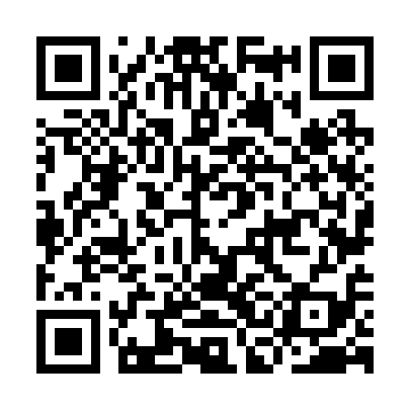 QR code for ICN219