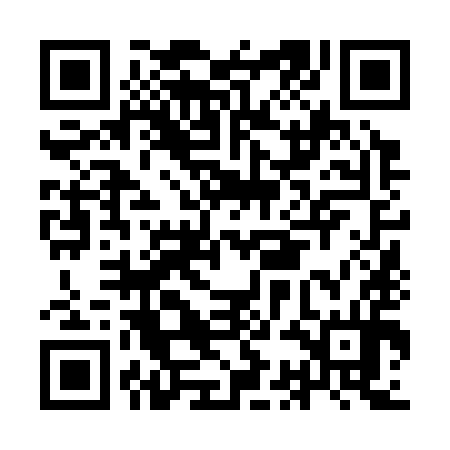 QR code for ICN394