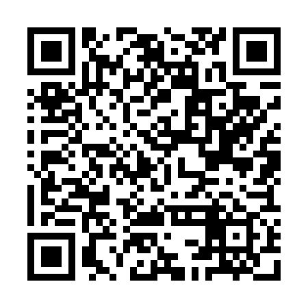 QR code for ICO479