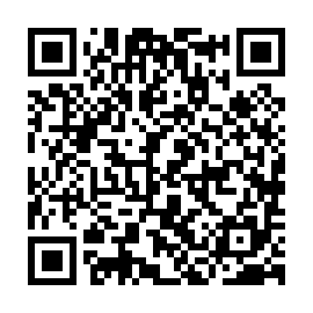QR code for ICX095